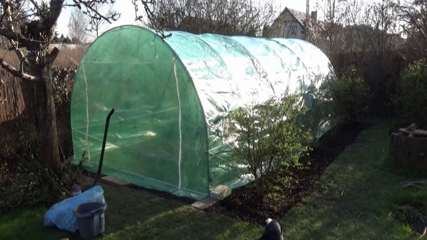 Tunel foliowy w ogrodzie warzywnym