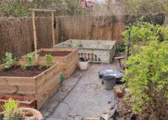 Czy opłaca się uprawiać mały ogród warzywny? – Poradnik dla początkujących
